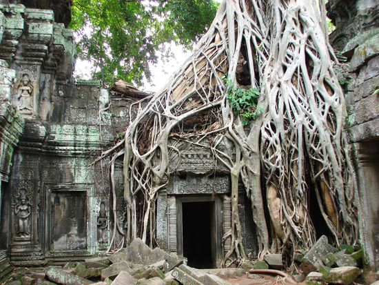 ... ueberwuchen die verbliebenen Mauern ...