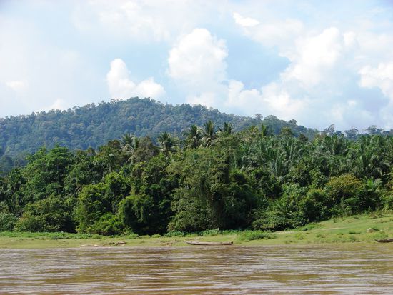 Am Weg nach Kuala Tahan.