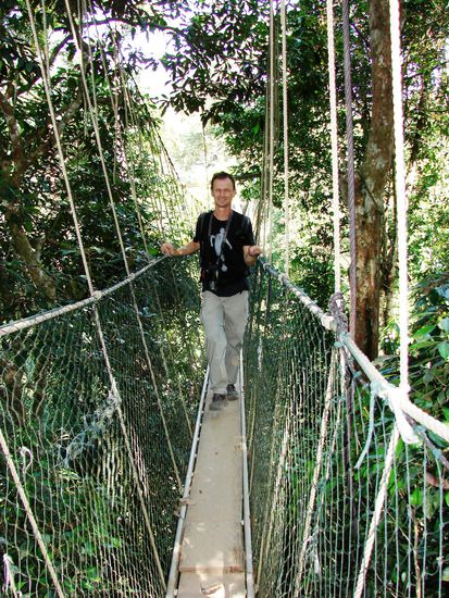 Der Canopy Walkway besteht aus mit Holzbrettern abgedecktn Aluleitern, die an Hanf- und Stahlseilen in den Baumkronen haengen.