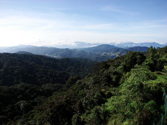 Blick ueber die selten so sonnenueberfluteten Cameron Highlands.
