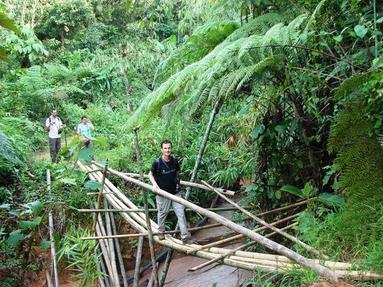 Sehr vertrauenserweckend erschien uns die Bruecke nicht, zumal einige der Staemme bereits eingeknickt waren!