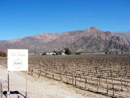 Rund um Cafayate finden sich etliche grosse Bodegas.