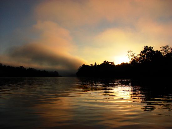 Sonnenaufgang ueber dem Kinabatangan River.
