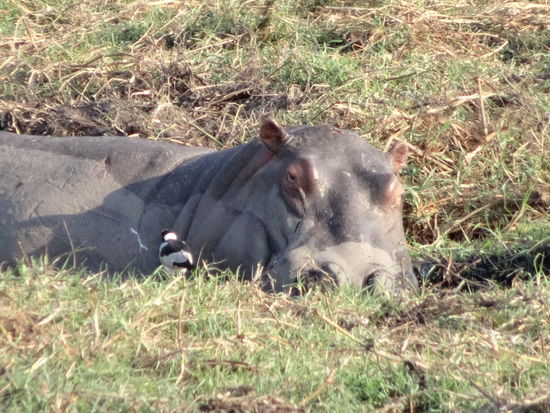 Wer stört mich hier????