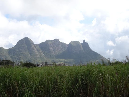 Die Felder reichen bis an die Straßen heran...
