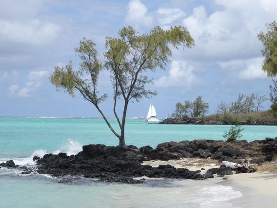 Ile aux Cerfs......