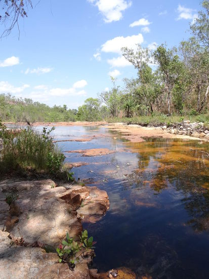 noch mehr Natur.....