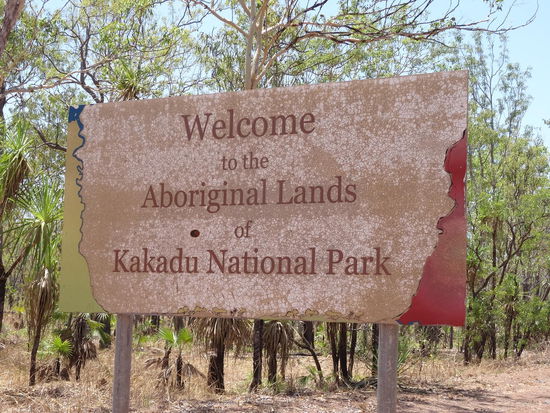  - Die Erwartungen waren riesig.....