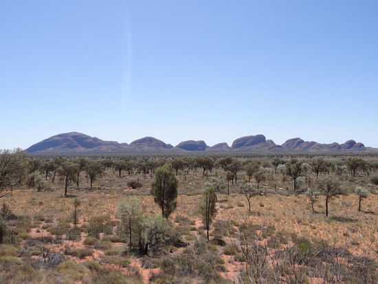 Ein Toller Blickfang.......besser als Ayers Rock.....