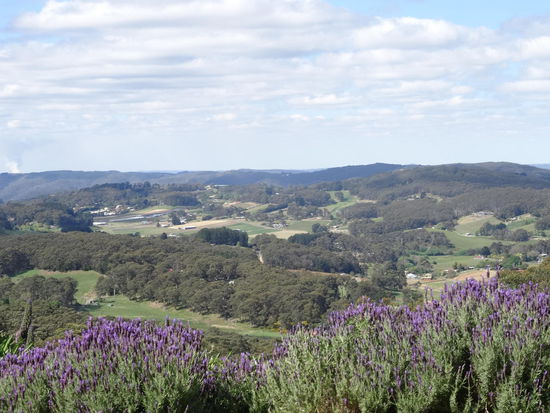 Adelaide Hills