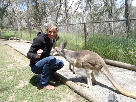 und der ist für zu Hause als Rasenmäher angeschafft worden.....