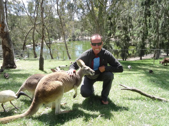 oder zum Essen.......als Steak aufm Grill