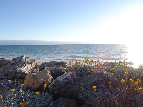 Beaches von Adelaide