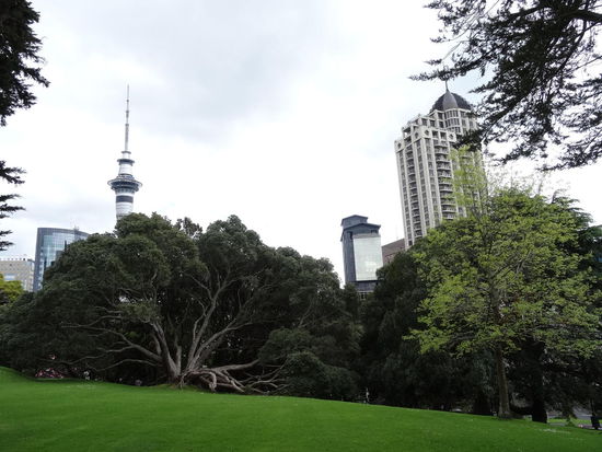 alles ganz nett in Grün