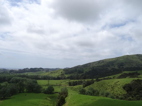 Grüntöne aller Art