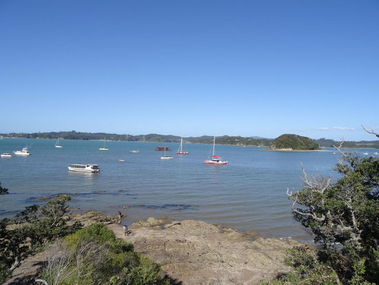 viele Boote waren Sonntags unterwegs