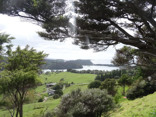 Wieder das typische Bild von der Nordinsel