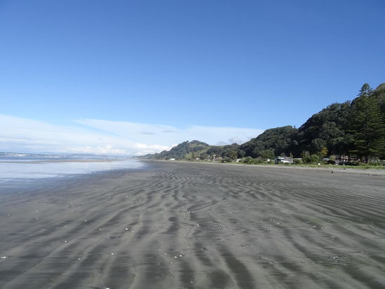 .....warum Ohope Beach Top sein sollte, wissen wir auch nicht