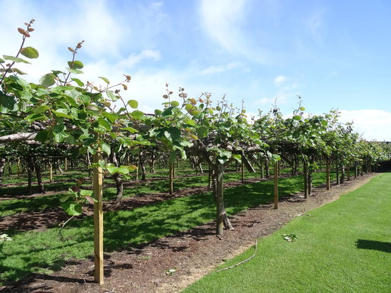 ...soweit das Auge reicht....