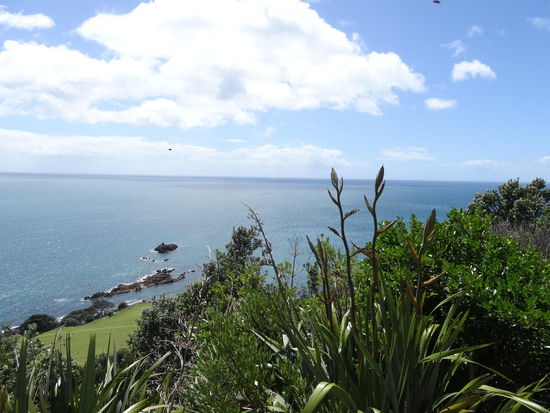 Blick über die Küste von der Bay of Plenty