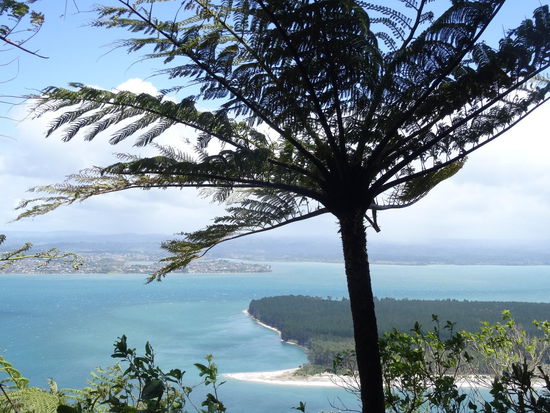 ....etwas stürmisch der Tag...