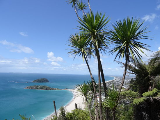 ....dafür entschädigt der Blick vom Berg auf die kilometerlangen Strände