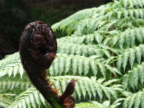 Winke Winke New Zealand......
Nächster Stopp Taiwan