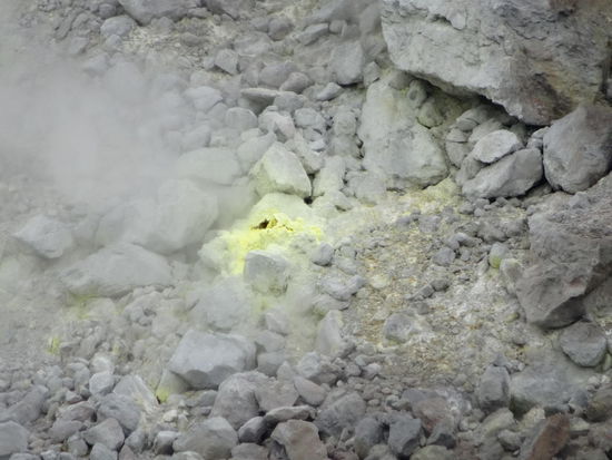 blubber....blubber....