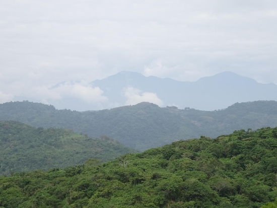 Leider waren die Berge im Wolkenkleid 