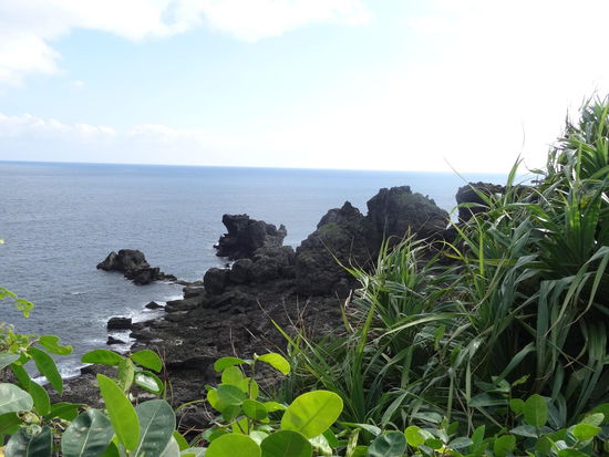 ....und zurück zur Küste.....