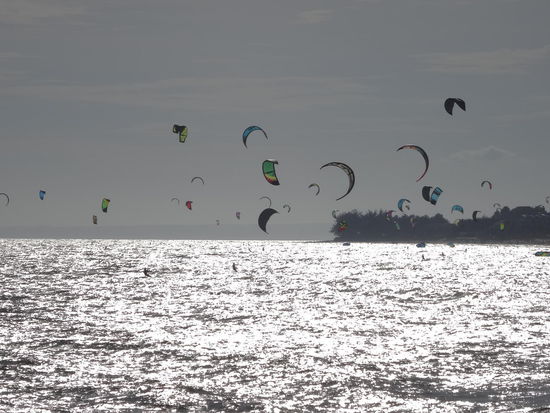 MUI Ne ist ein Kite Mekka........am Nachmittag konnte man 100er beobachten......dem Wind sei Dank.....