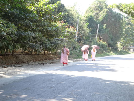 Es gab auch weibliche Mönche zu sehen....