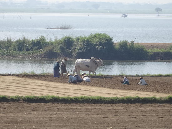 High Tech in Myanmar...hier ist die Zeit echt stehen geblieben