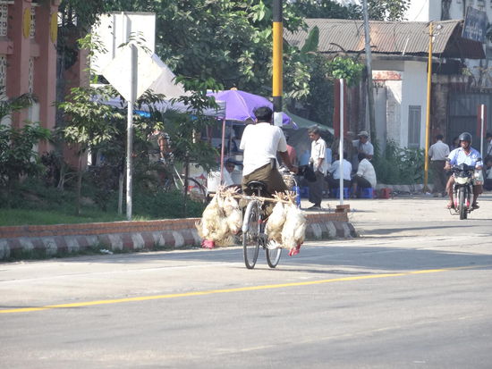 BYE BYE Myanmar...bleib wie du bist 