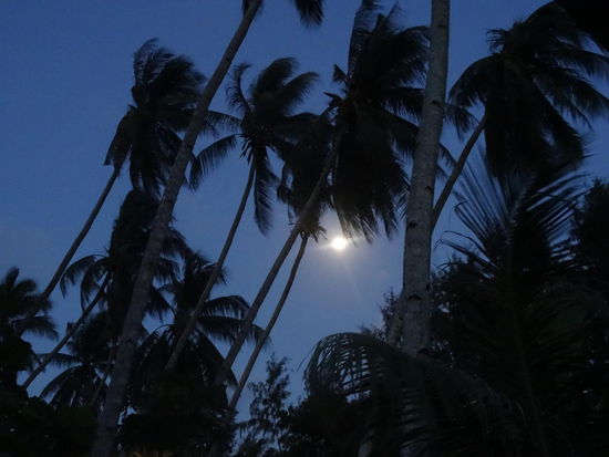 Vollmond in der Nacht