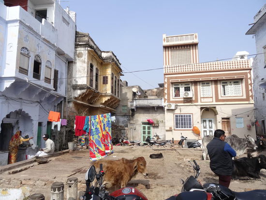 Pushkar war so dreckig.....und das als Pilgerstadt.....