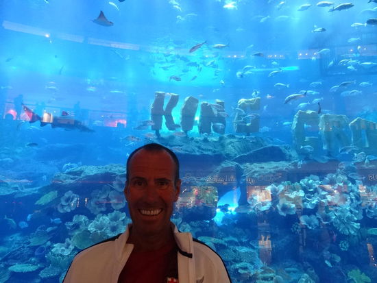 Ein riesiges Aquarium in der Dubai Mall....