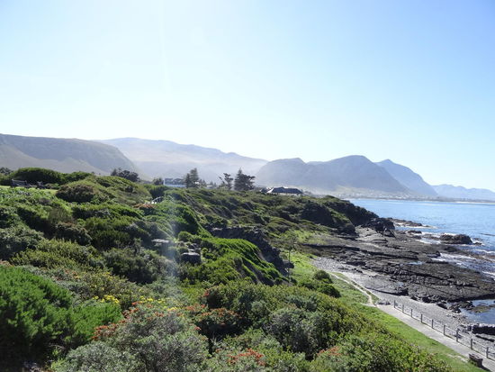 Landschaft um Hermanus