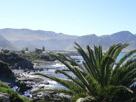 Hermanus