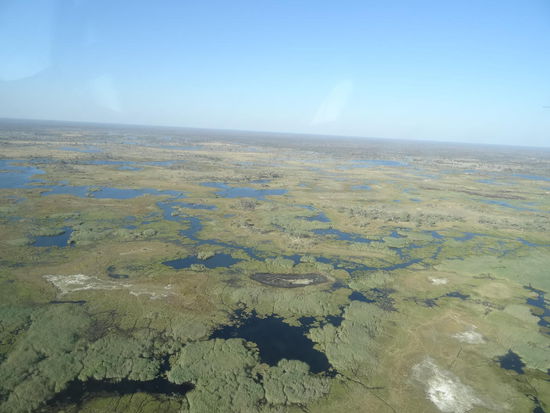 Blick über das Delta aus 120 m Höhe
