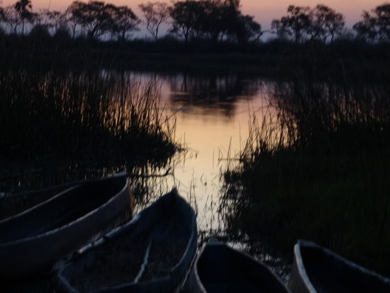 Abendstunden im Delta