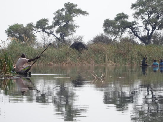 upssiiii....etwas zu nah