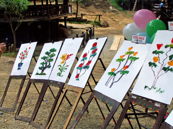 Chiang Mai - Mae Sa Elefant Camp ´Kunstgalerie´