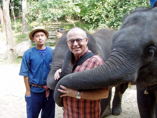 Chiang Mai - Mae Sa Elefant Camp sieht aus als könnten die mich leiden...