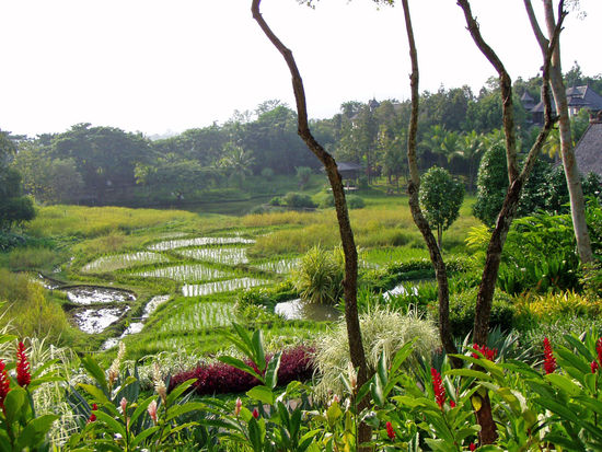 Chiang Mai - Mae Sa Tal, Four Seasons Resort,Reisfarm