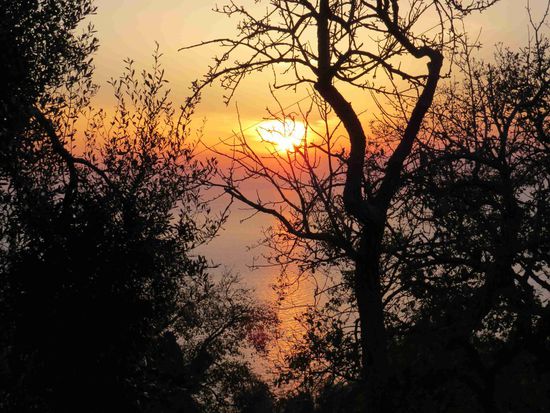 Sonnenuntergang bei Coccorino (Capo Vaticano)