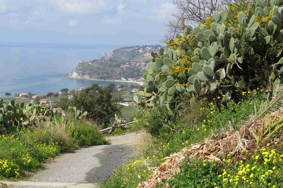 Blick von Coccorino zum Capo Vaticano