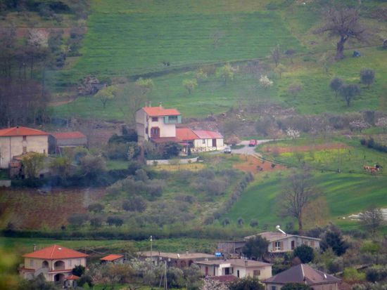 Cetraro - die Fattoria Bonella