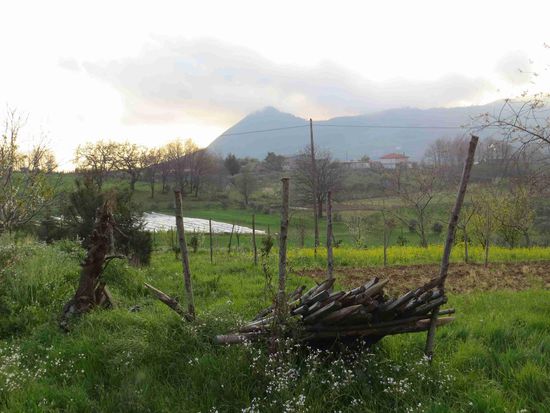 Cetraro - Blick von der Farm zum Monte Serra