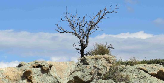 Tal des Regino im Norden Korsikas (beim "Stausee")